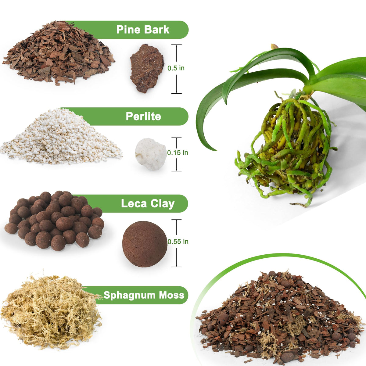Sumloty orchid bark mix pine bark perlite blend enhances airflow around roots.