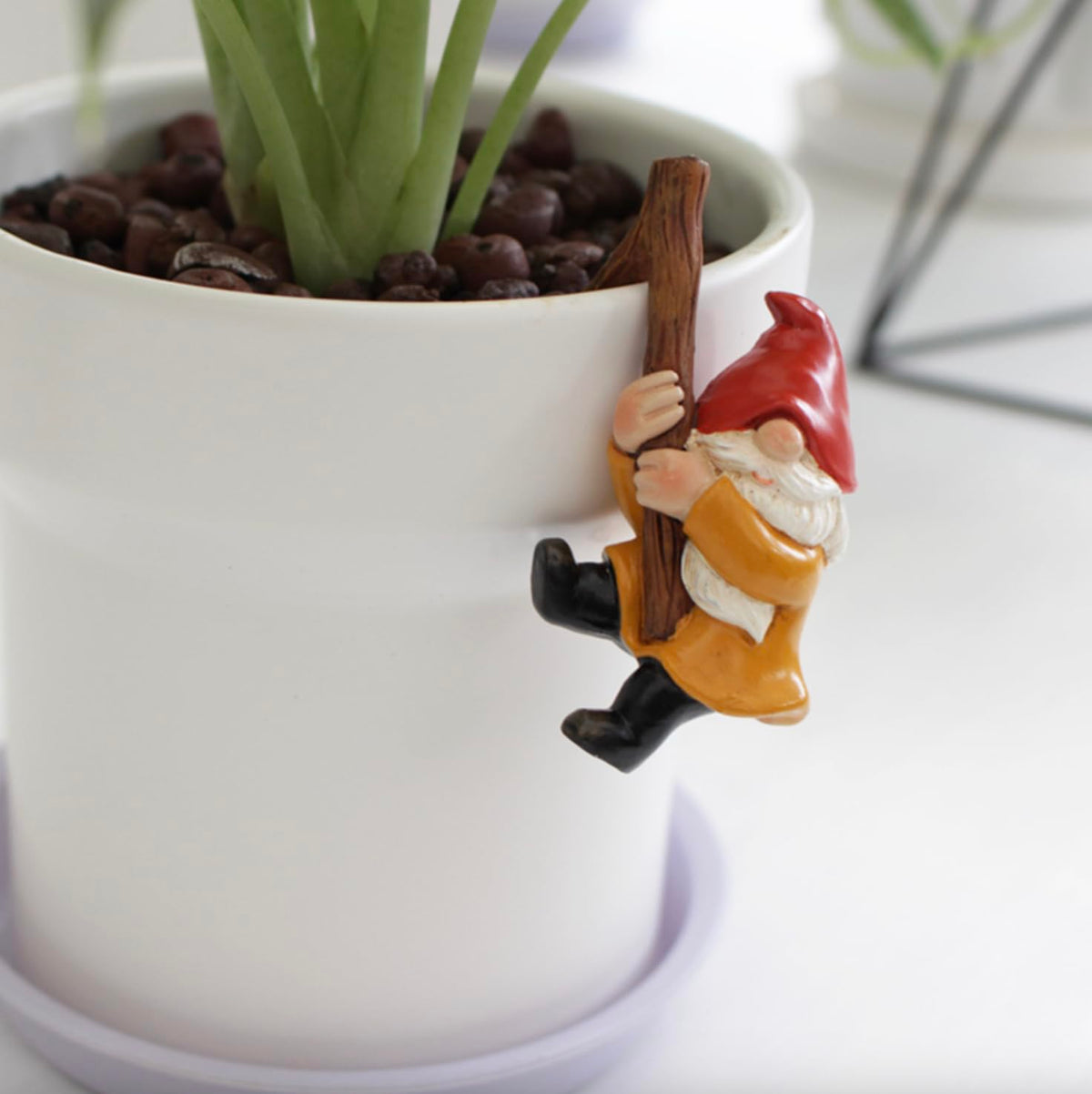 Summerdate gnomes trio in fairy garden setting