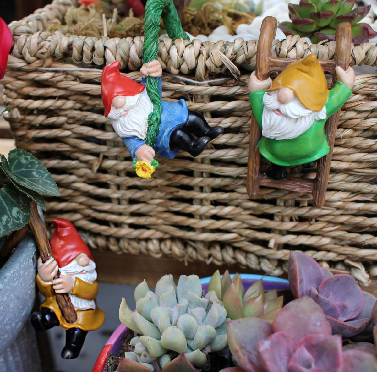 Summerdate gnome trio complements miniature flower pots