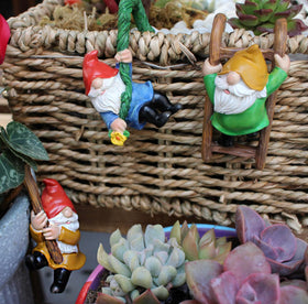 Summerdate gnome trio complements miniature flower pots