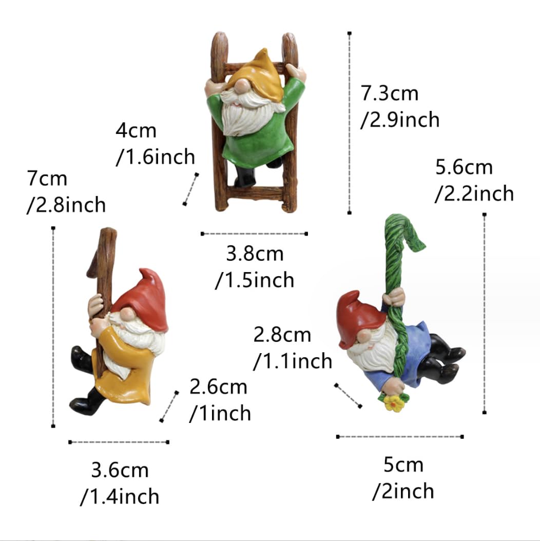 Summerdate gnomes add playful office window decor charm