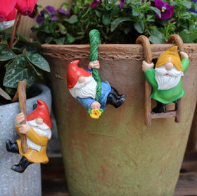 Summerdate outdoor gnomes with weatherproof coating staying vibrant