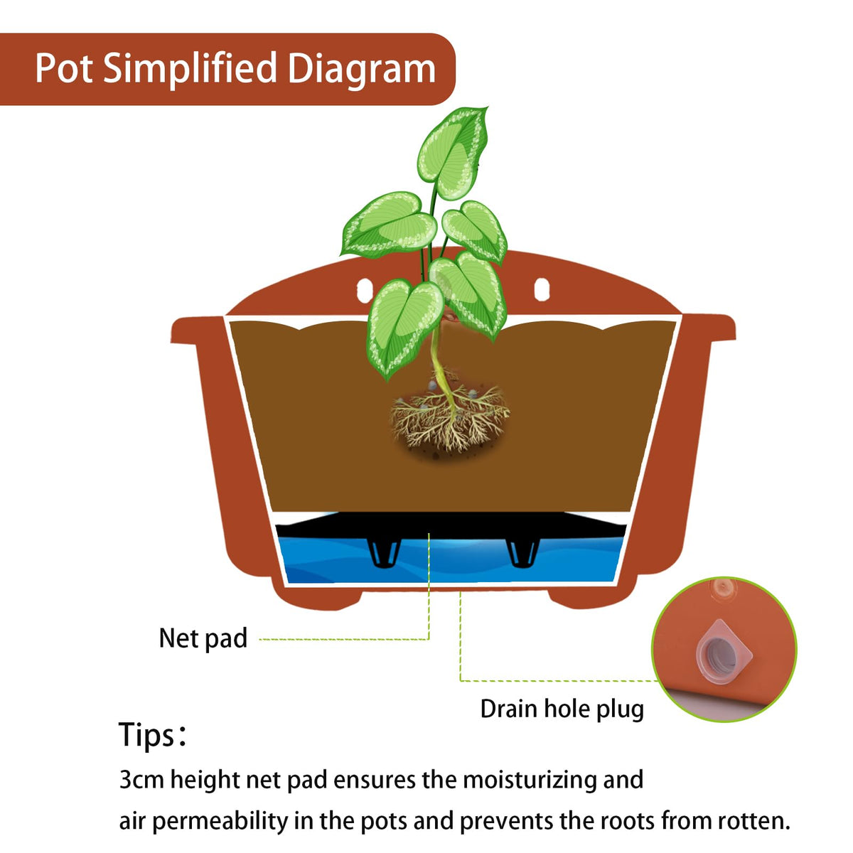 Summer Flower drain hole plug enables controlled drainage for indoor use.