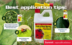 Summit Tick & Flea Spray in real home-use scenario