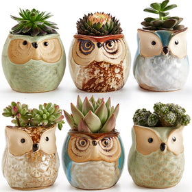SUN-E SE Owl Pot ceramic with flowing glaze base, six-pack set for tiny plants