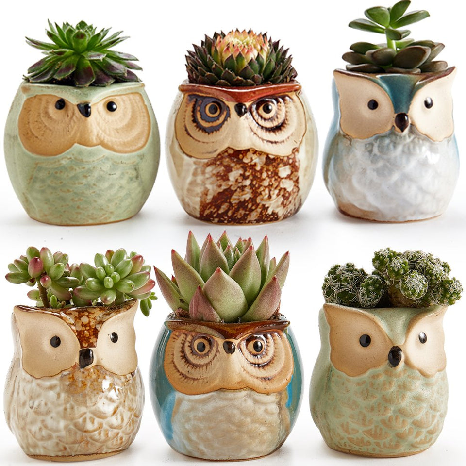 SUN-E SE Owl Pot ceramic with flowing glaze base, six-pack set for tiny plants