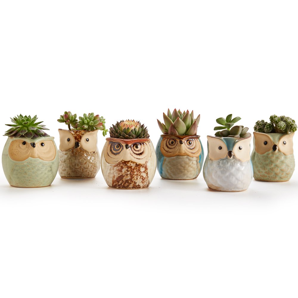 Collection of SUN-E SE Owl Pots on a bookshelf for decor