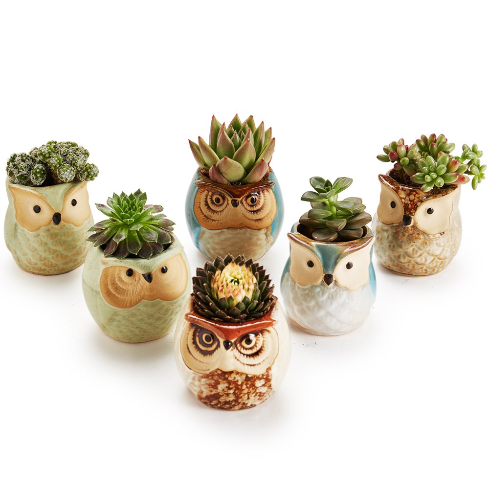 SUN-E SE Owl Pot displayed on a desk setup with greenery