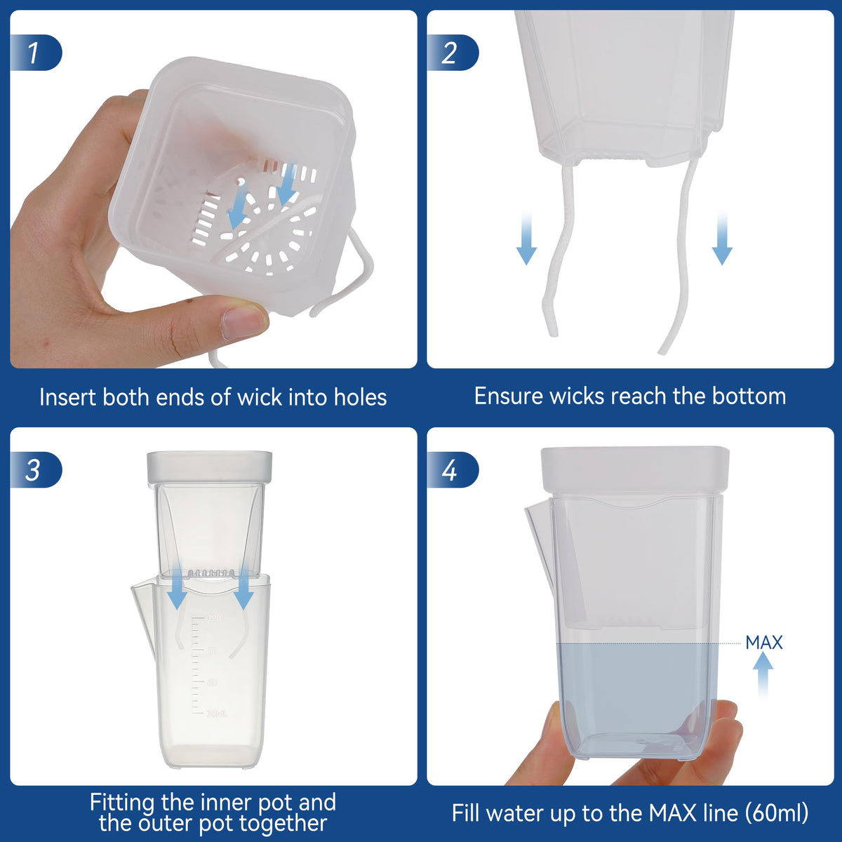 Sunanday 2-inch clear inner cup and outer pot for easy checks.