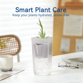 Sunanday clear dual layer pot highlights root progress and water status