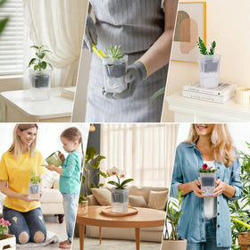 Sunanday mini African violet friendly pot fits tiny houseplants.