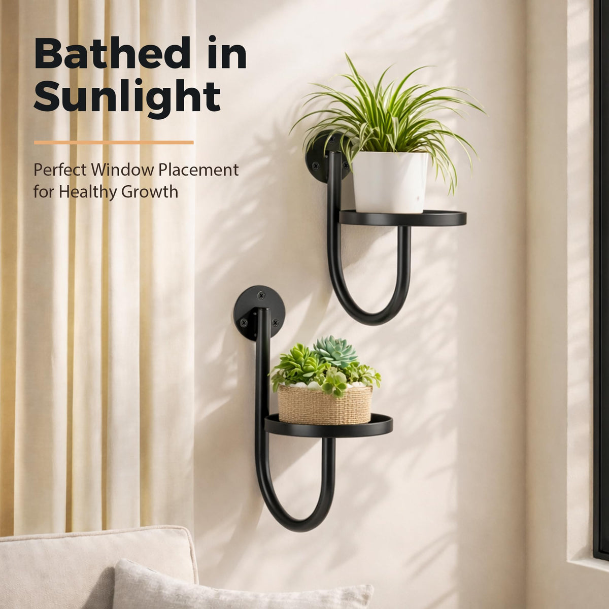 Suncket succulents and vines displayed in stylish planters on wall.