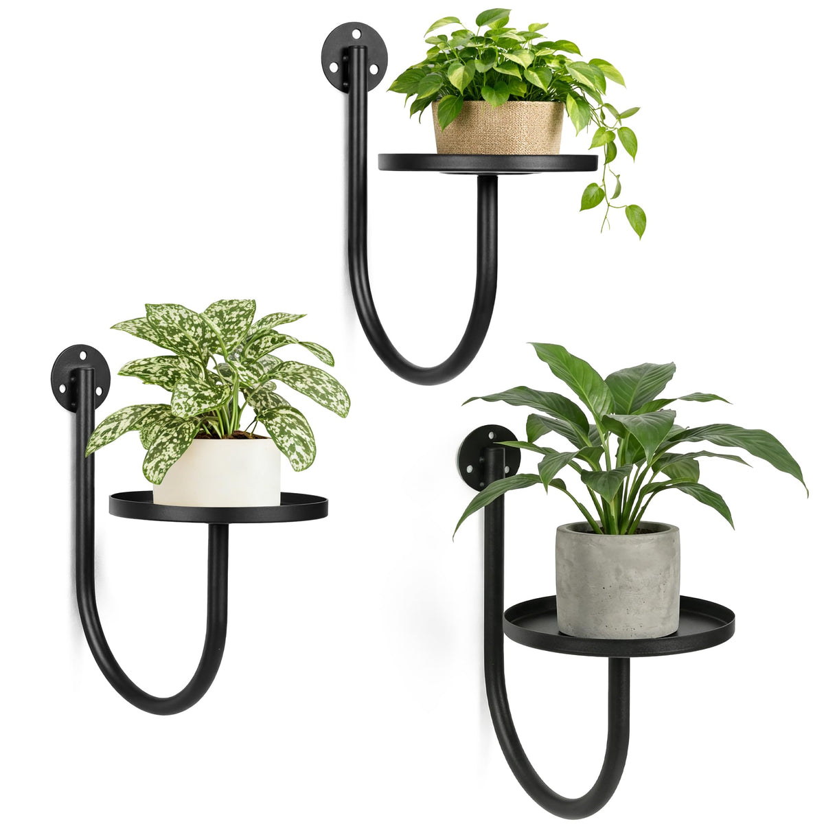 Suncket wall plant holders 3-pack mounted on a wall for space-saving greenery.