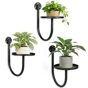 Suncket wall plant holders 3-pack mounted on a wall for space-saving greenery.
