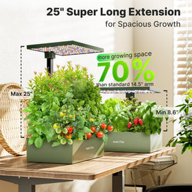 SUNCOZE 24-hour light cycle delivers consistent daily lighting for growth.