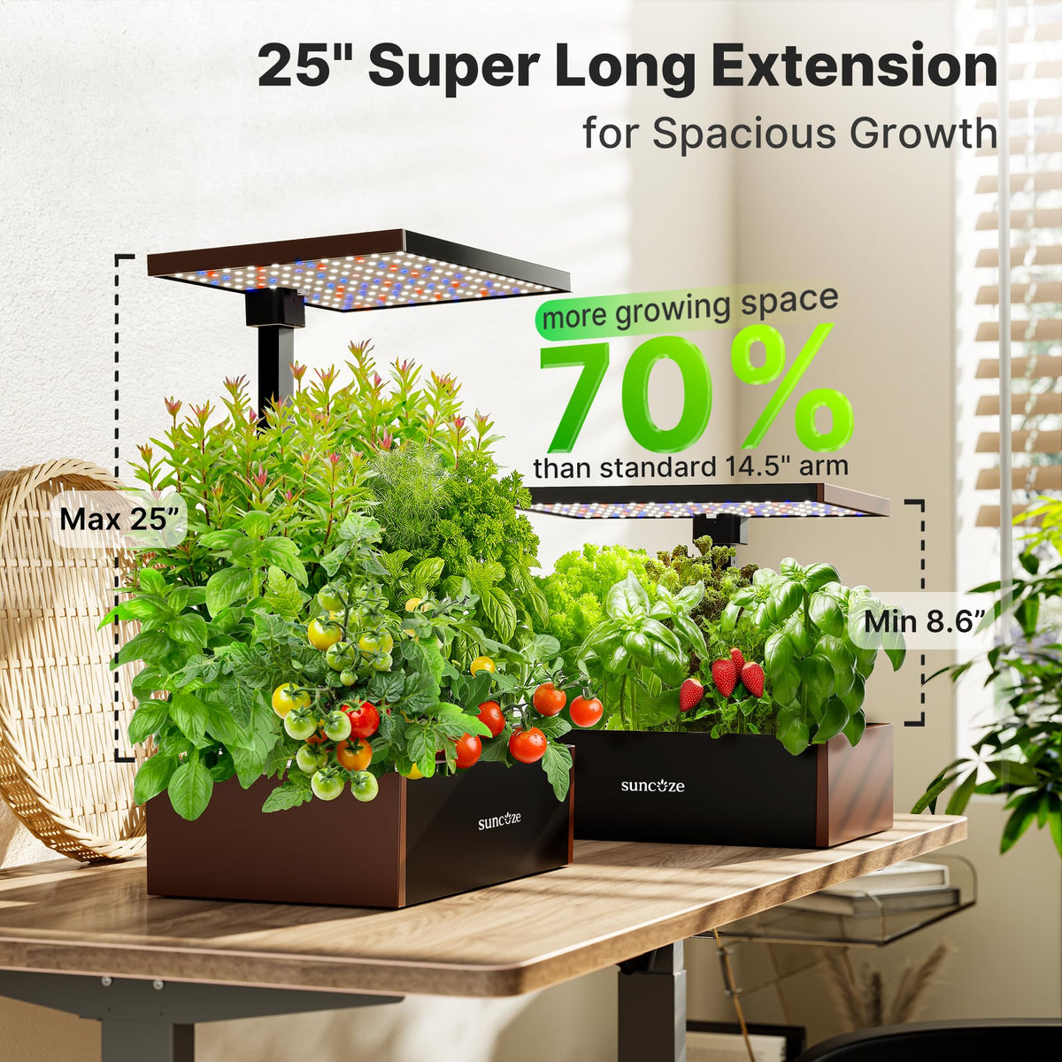 Suncoze 30W LED grow light provides bright, even indoor plant illumination.