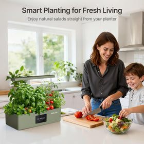 Suncoze Hydroponics 12-pod garden kit fits compact kitchen spaces.