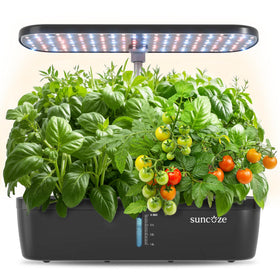 SUNCOZE hydroponics 12 pods indoor garden ready for fresh herbs and greens.