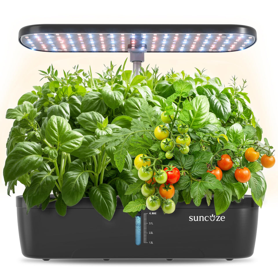 SUNCOZE hydroponics 12 pods indoor garden ready for fresh herbs and greens.