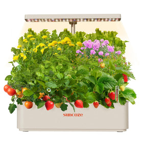 SUNCOZE 12-pod hydroponics system enables compact indoor gardening for fresh herbs.