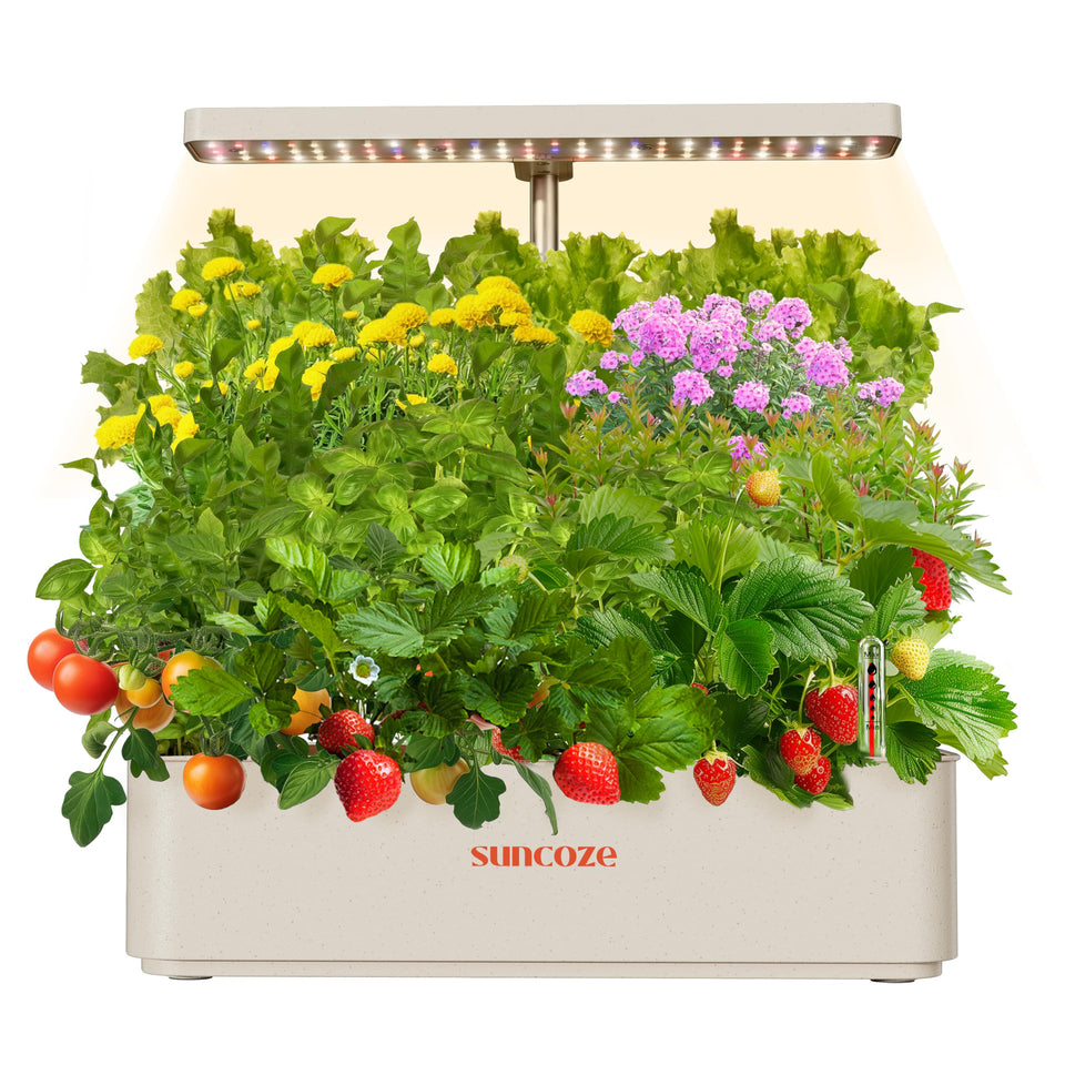 SUNCOZE 12-pod hydroponics system enables compact indoor gardening for fresh herbs.