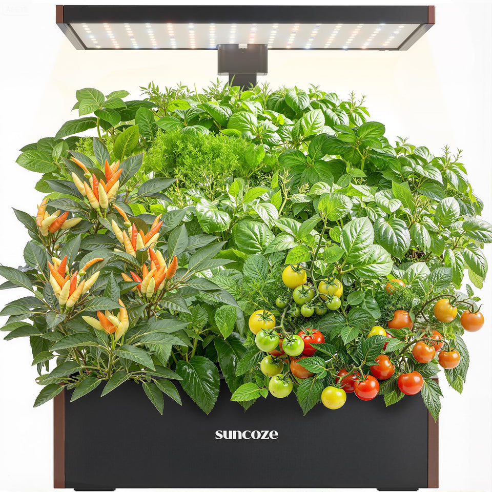 Suncoze hydroponics 20-pod system shown in compact indoor garden setup for herbs and greens
