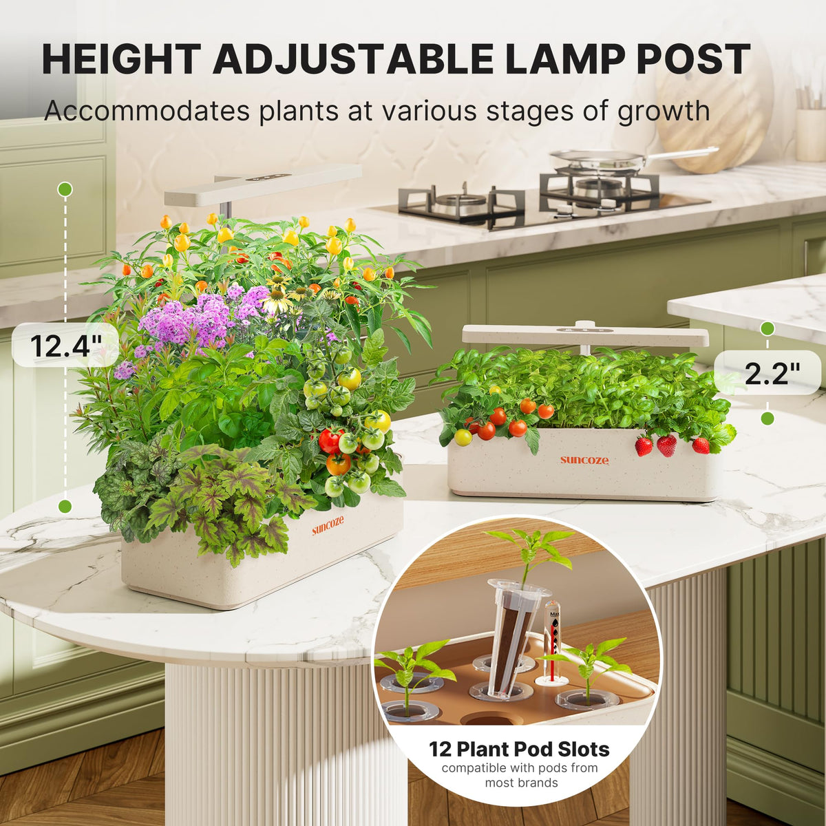 SUNCOZE 24W LED grow light mimics sunlight for robust growth.