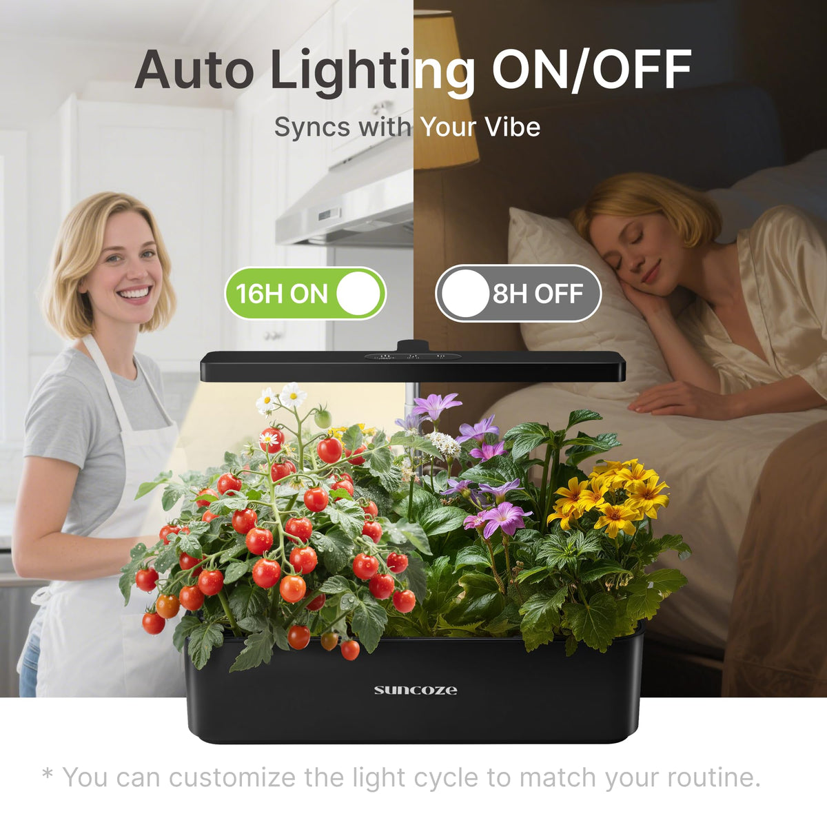 SUNCOZE compact indoor garden in a modern kitchen or living space.