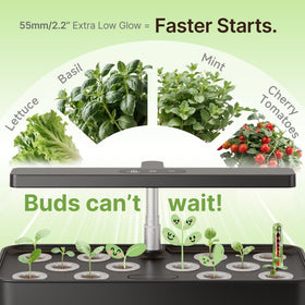 SUNCOZE control panel with Veggie and Flower modes for flexible growth.