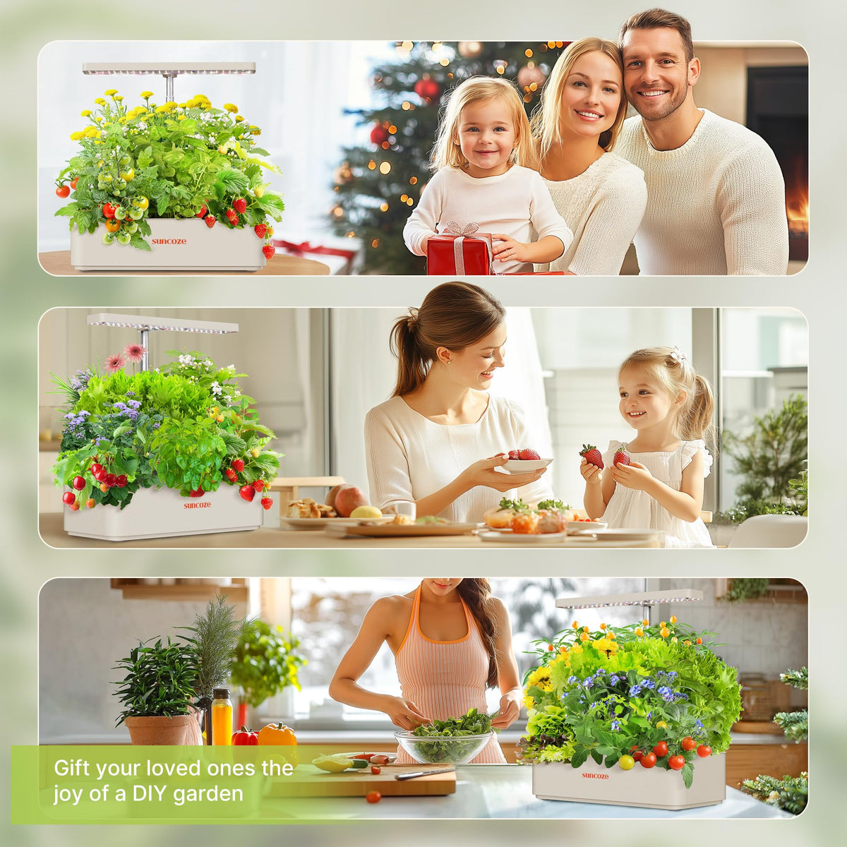 SUNCOZE nutrient pack supports feeding for healthy seedlings.
