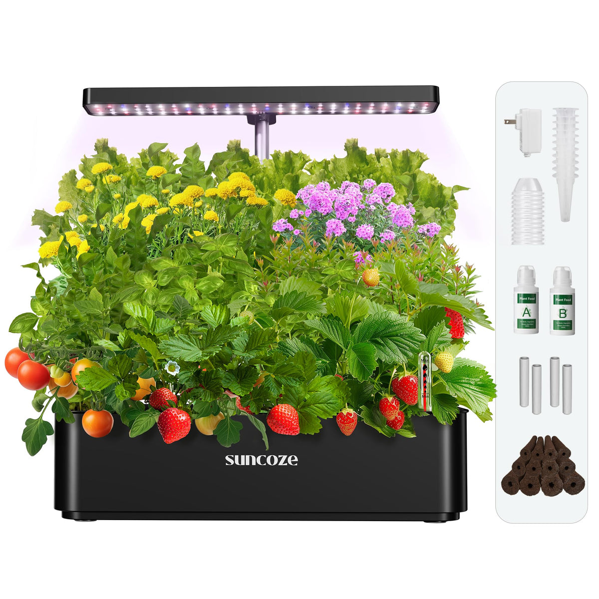 SUNCOZE seedless setup: seeds not included.