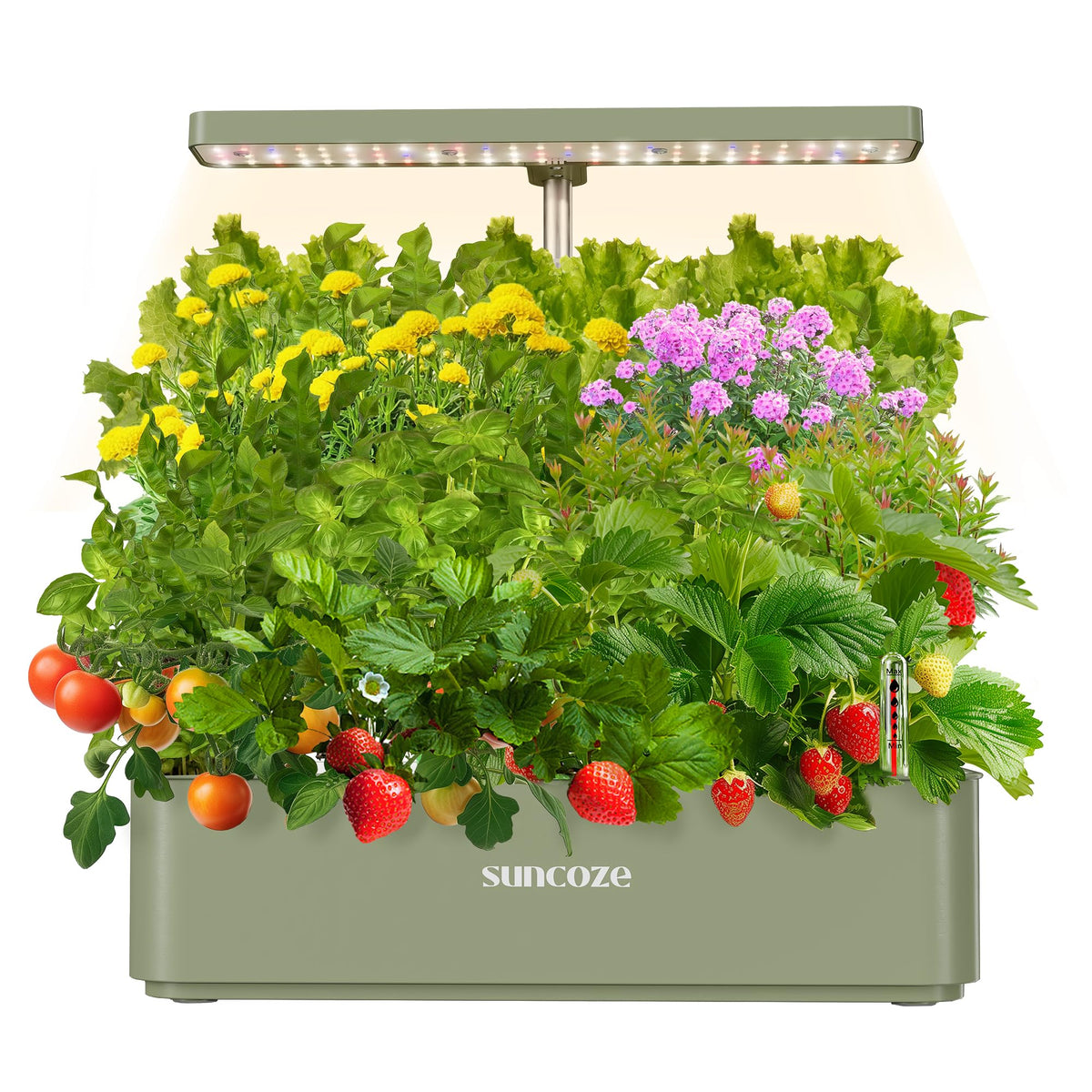 SUNCOZE Hydroponics system with 12 pods - compact indoor garden setup for herbs