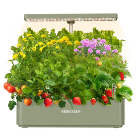 SUNCOZE Hydroponics system with 12 pods - compact indoor garden setup for herbs