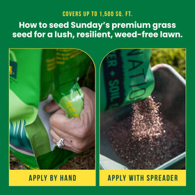 SUNDAY Northeast Seed + Feed 9-0-2 NPK granules delivering nutrients
