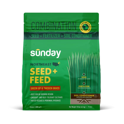 SUNDAY Northeast Seed + Feed pack front for an all-in-one lawn solution