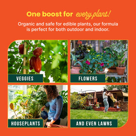 SUNDAY Soil Booster spray-ready bottle shows simple hose-end usage for up to 200 sq ft.