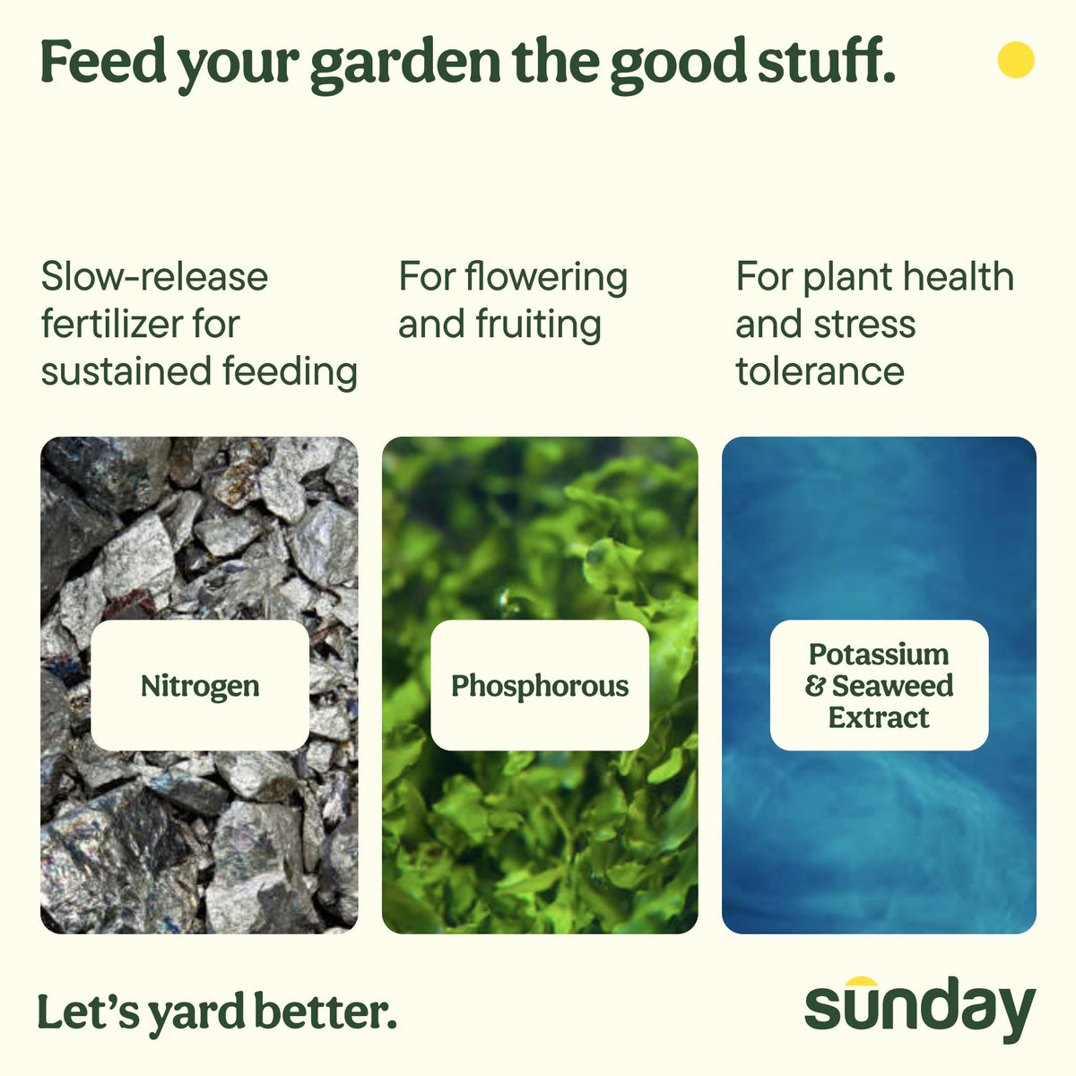 SUNDAY Wonderfert boosts annuals and perennials for vibrant displays
