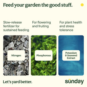 SUNDAY Wonderfert boosts annuals and perennials for vibrant displays