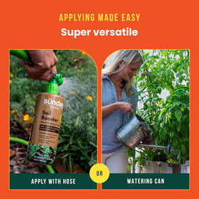 SUNDAY Worm Casting Tea application in beds supports nutrient uptake and soil balance.