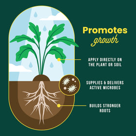 SUNDAY Worm Tea promotes a healthier soil ecosystem in vegetables and ornamentals.