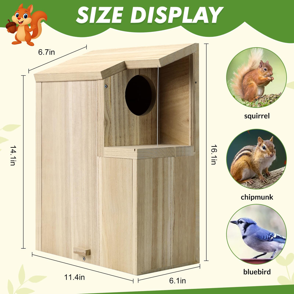 Sundia large squirrel house interior view reveals roomy nesting space for families.