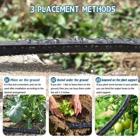 Suneed 50ft hose laid across beds enables versatile watering and easy storage.