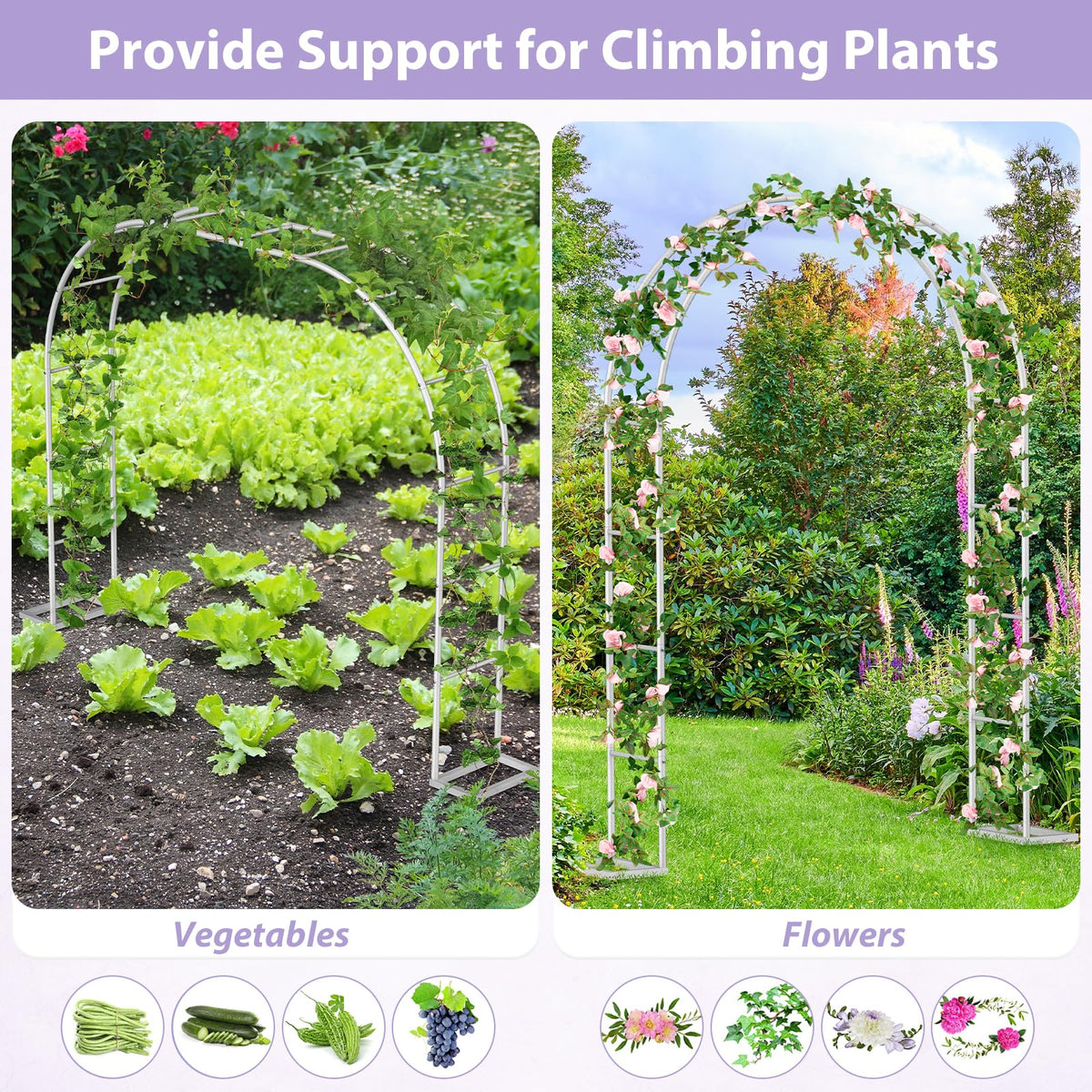 Sunexinlo garden arch climbing-plants supporting vines like roses and ivy.