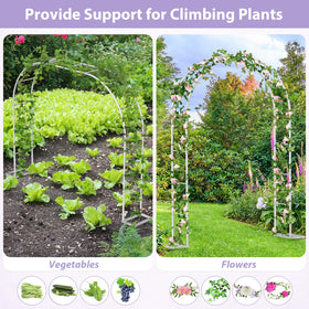 Sunexinlo garden arch climbing-plants supporting vines like roses and ivy.