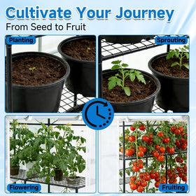 SUNGIFT roll-up door doubles as ventilation for airflow.