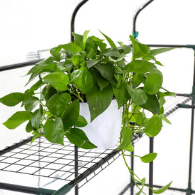 SUNGIFT three-tier shelves maximize growing area and airflow.