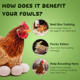 SunGrow broodiness test eggs used to observe hen setting behavior