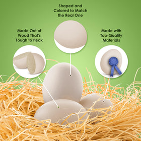 SunGrow anti-pecking eggs used in nesting area to deter pecking