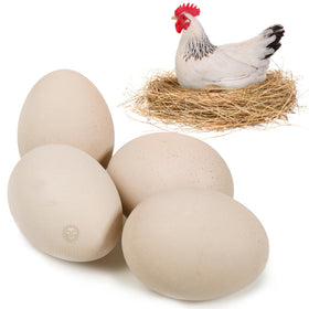 SunGrow fake eggs in nesting box to encourage hens to lay in the nest