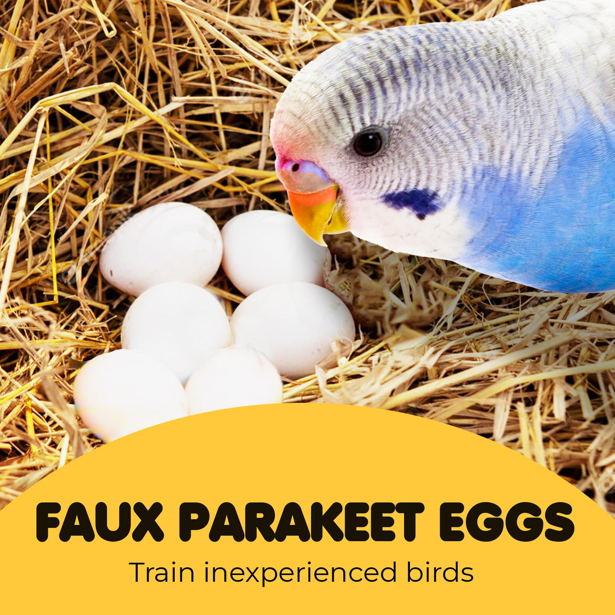 SunGrow durable plastic eggs stay intact after gentle drops.